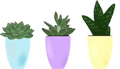 Download Transparent Succulent Stickers Succulent Plant Pngkit