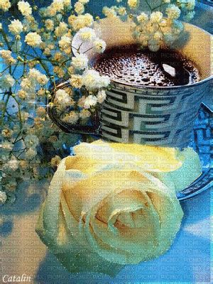 COFFEE AND ROSE, coffee , good , morning , rose , fleur , flower ...