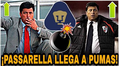 ¿si Viene🔥daniel Passarella Quiere Ser Dt De Pumas LlegarÍa A Reforzar A Pumas Refuerzos