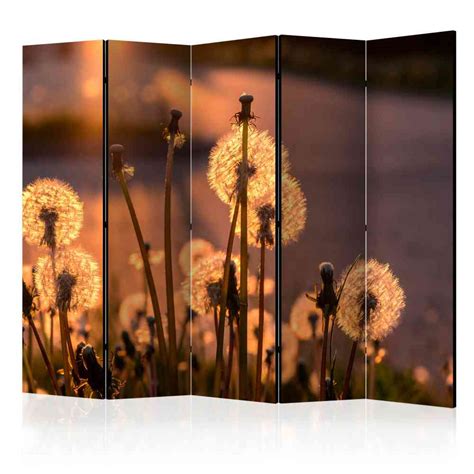 Spanische Wand Take Mit Pusteblumen Motiv 225 Cm Breit Pharao24