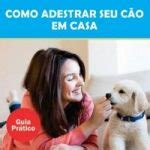 Como adestrar um cão em casa técnicas de adestramento positivo de