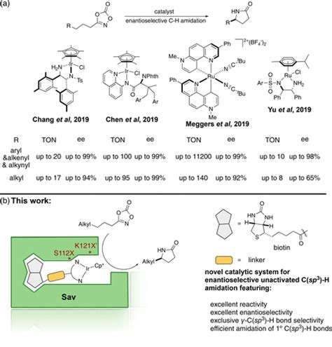 Artificial Metalloenzyme Catalyzed Enantioselective Amidation Via