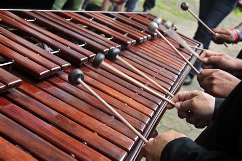 The Marimba Symbol Of National Culture And Tradition And The Torch Of