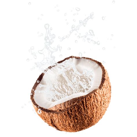 Coconut Splash Hd Transparent Hand Splash Of Coconut Png Splash Clipart