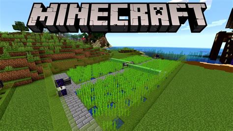 Minecraft Megacraft Fajna I Wydajna Farma Trzciny Youtube