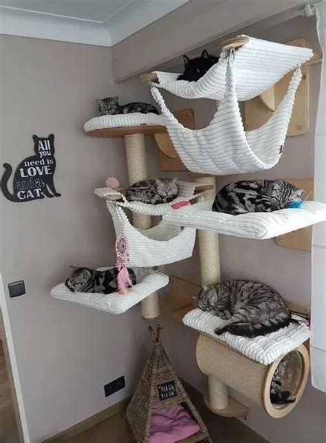 70 Brilliant Diy Cat Playground Design Ideas Room Dynamic Cat Room