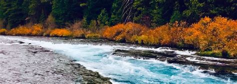 Metolius River Fly Fishing Tad