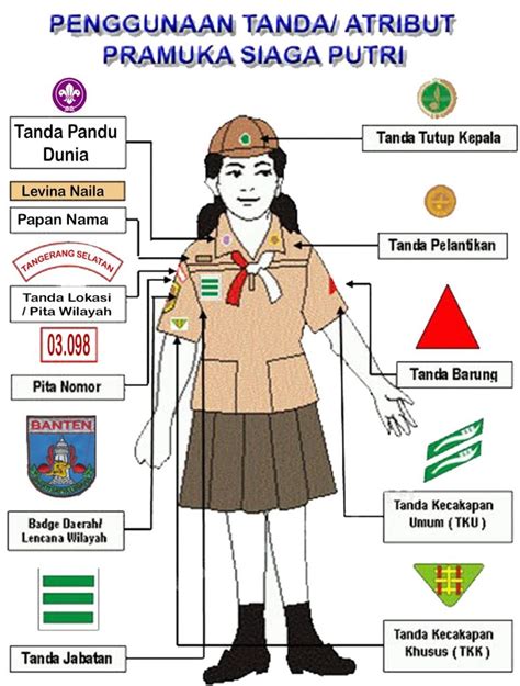 Seragam Pramuka Siaga Putri Terkini Dan Terlengkap