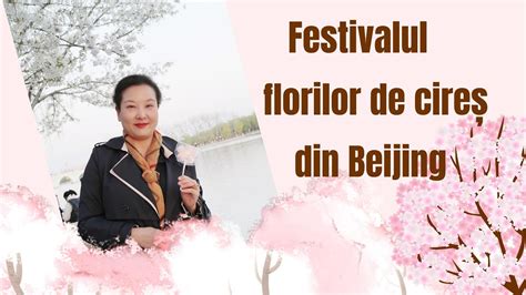 Festivalul florilor de cireș din Beijing YouTube