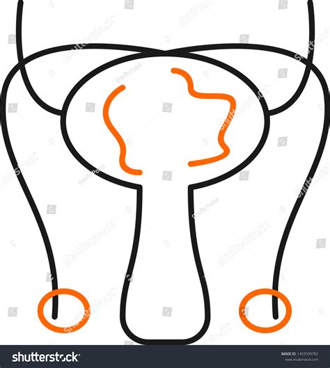 Male Reproductive System Icon Your Project Stock Vector Royalty Free