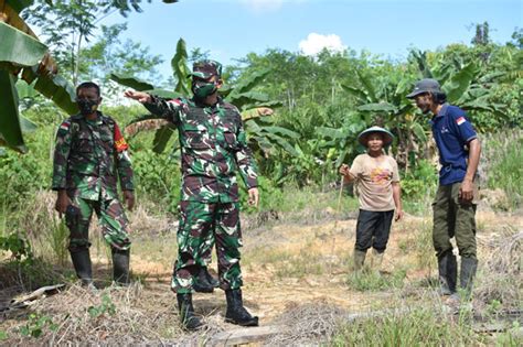 Bakal Buka Akses Jalan Tni Wujudkan Harapan Warga Perbatasan