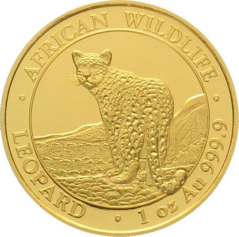 Gold Coins Sursee Lu Somalia Shillings Leopard Unze