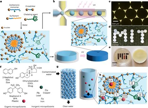 Engineers Create A Zwitterionic Hydrogel System To Swiftly Eliminate