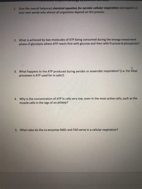 Give The Balanced Chemical Equation For Cellular Respiration - Tessshebaylo