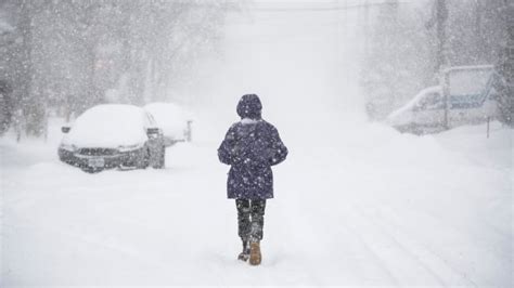 First Significant Snowfall Of Season On The Way For Nova Scotia Cbc News