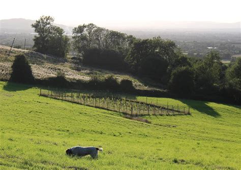 dryhill surrounding areaimg