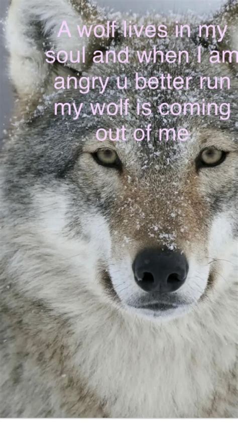 Wolves Lone Wolf Quotes Wolf Quotes Wolf Life Lone Wolf Quotes