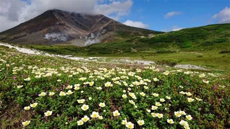 10 Best Things To Do In Hokkaido In Summer Kyuhoshi