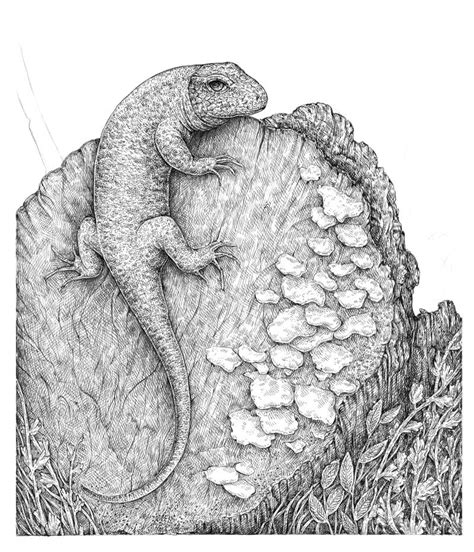 Lizard Skin Drawing You can add more value throughout your lizard drawing for extra detail