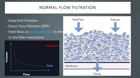 Tangential Flow Filtration Pptpptx