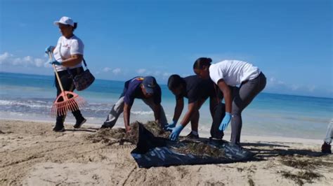 Realizan Jornada De Limpieza En Playa Pedernales Acento