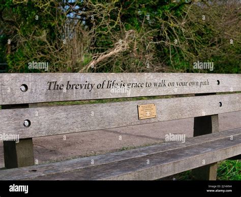 A Memorial Inscription On A Wooden Bench Reads The Brevity Of Life Is