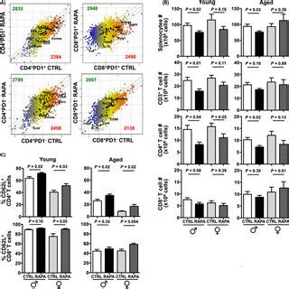 Rapa Alters Gene Expression In Immune Cells Resulting In Preferential