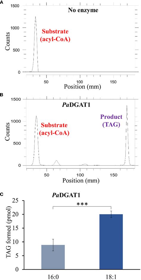 Frontiers Acyl Coa Dependent And Acyl Coa Independent Avocado