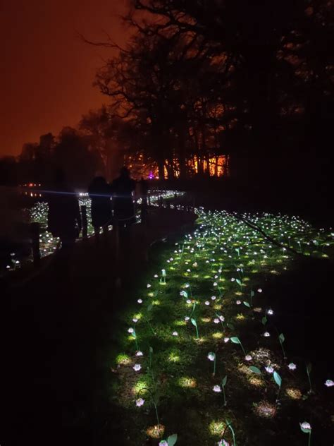 Botanic Garden Meise Winter Floridylle Life Of A Passion