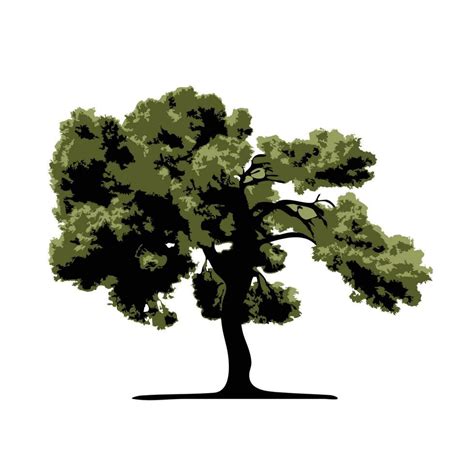 tree isolated on white background 24261849 Vector Art at Vecteezy