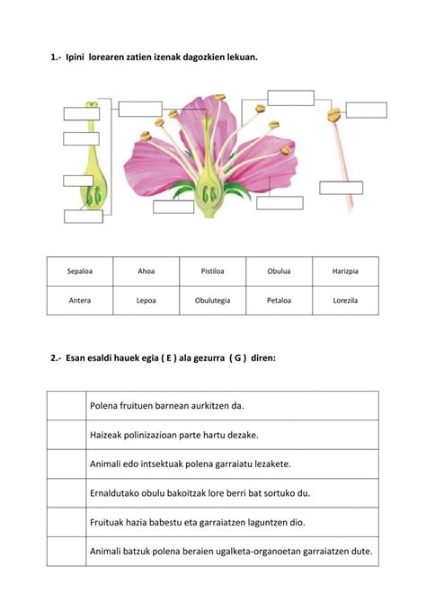 Dute Texts Interactive Notebooks Teachers Note Cards Activities