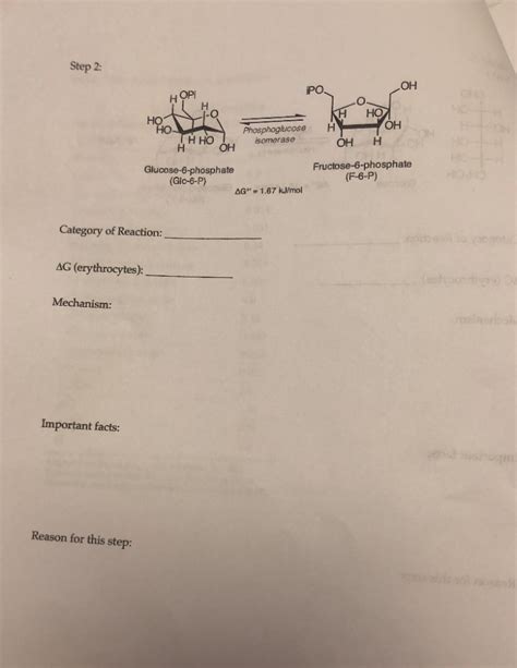 Glycolysis Worksheet Overview Of The Pathway Phase I