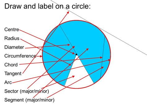 Draw A Circle And Label Its Parts Jpdescamisadossalta