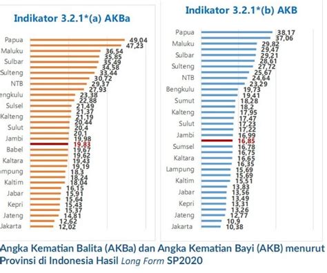 Reihana Angka Kematian Ibu Balita Dan Bayi Lampung Di Bawah Nasional