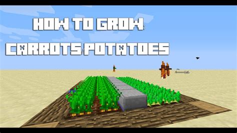 Minecraft Tutorial How To Grow Carrots Potatoes Youtube