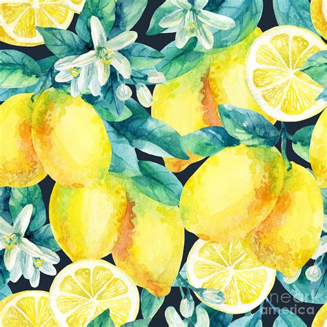 Watercolor Lemon Fruit Branch Digital Art By Tanya Syrytsyna Pixels