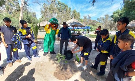 Conaf Celebr El D A Mundial Del Rbol Con Feria Ambiental Y Plantando