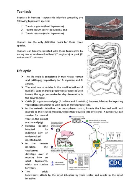 Taeniasis | PDF