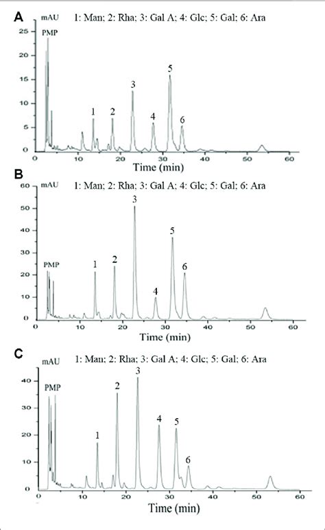 Monosaccharide Composition Analysis Of Polysaccharides Isolated From