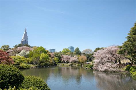 The Best Parks In Tokyo