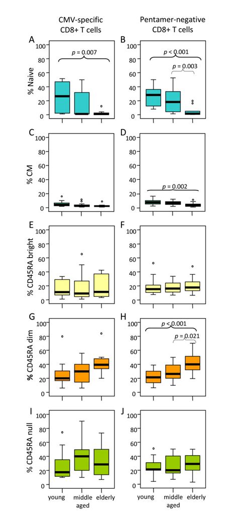 Influence Of Age On Cd T Cell Subset Distribution According To The