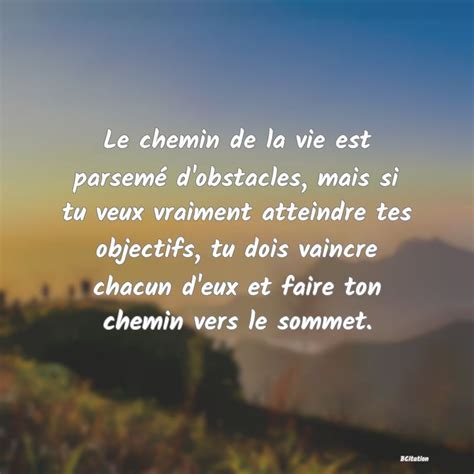 Le chemin de la vie est parsemé d obstacles mais