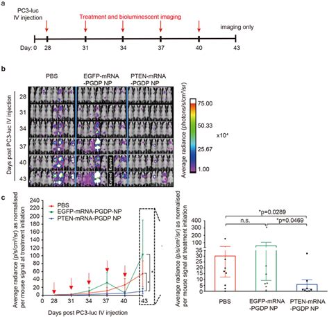 Restoration Of Tumour Growth Suppression In Vivo Via Systemic