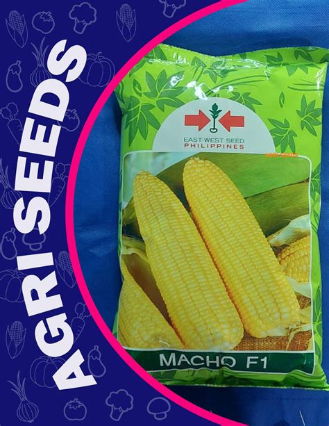 Macho F Kilo Hybrid Sweet Corn Mais By East West Lazada Ph