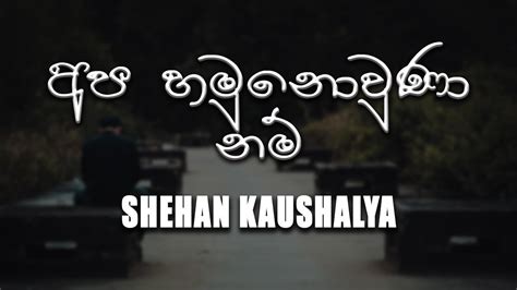 Apa Hamu Nowunanam අප හමු නොවුනා නම් Shehan Kaushalya Lyrics Video