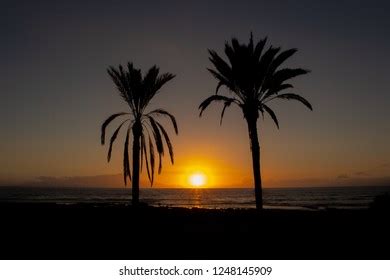 Tenerife Beach Sunset Stock Photo 1248145909 | Shutterstock