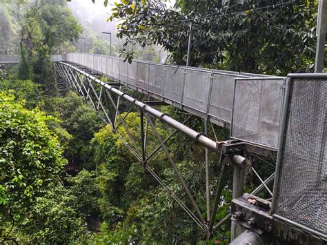 The Tree Top Walk Sungai Sedim