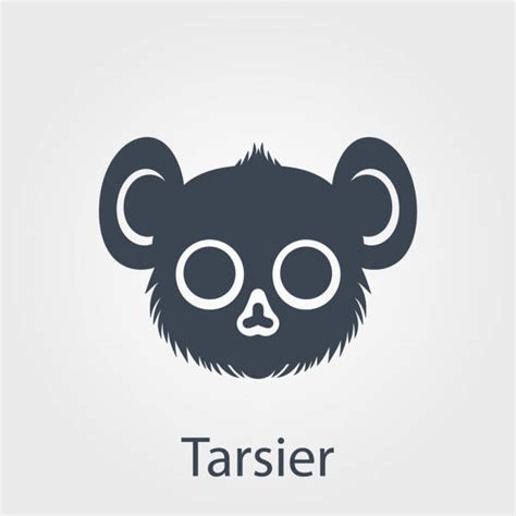 90+ Tarsier Eyes Stock Illustrations, Royalty-Free Vector Graphics ...