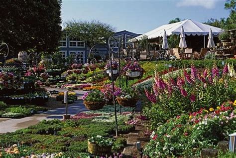 Destination Nursery: Roger’s Gardens | Garden Design