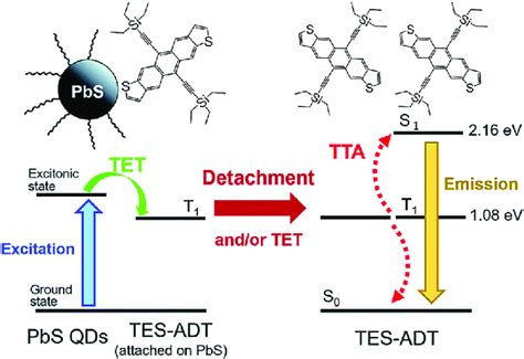 Schemes Of Tta Uc With Pbs Qds As The Triplet Sensitizer And Tes Adt As